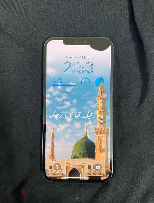 iphone 12 pro max 256GB 1