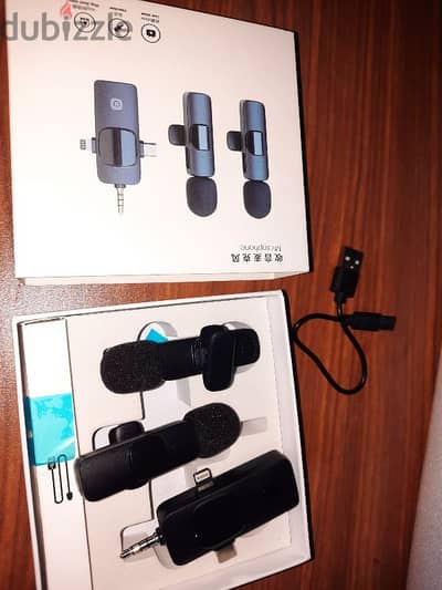 2 microphone wireless