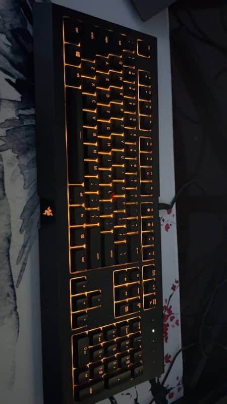 razer keyboard 0