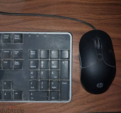 dell keyboard & hp mouse