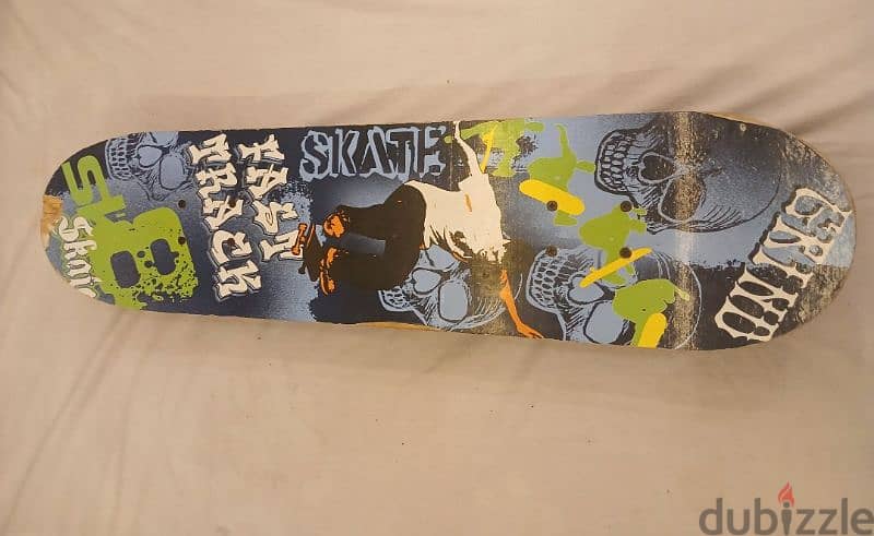 skate board 1