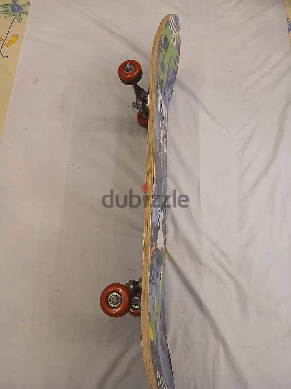 skate board 3