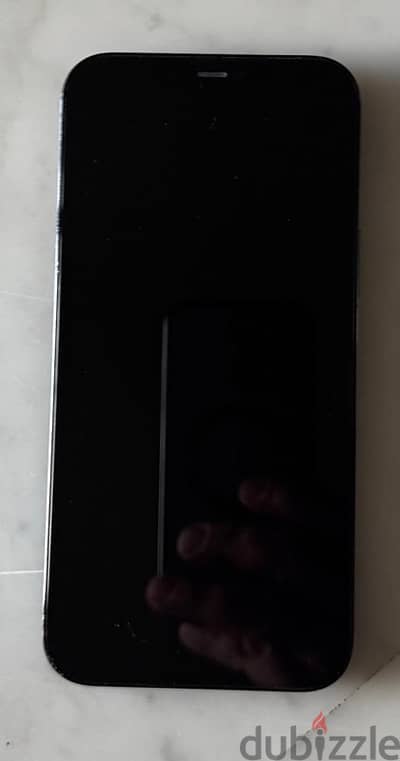 IPhone 12 Pro Max 256Gb