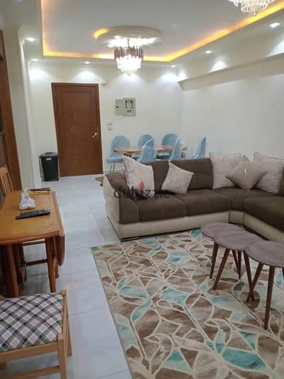 Furnished Apartment for Rent at a Special Price in One Katameya Compound