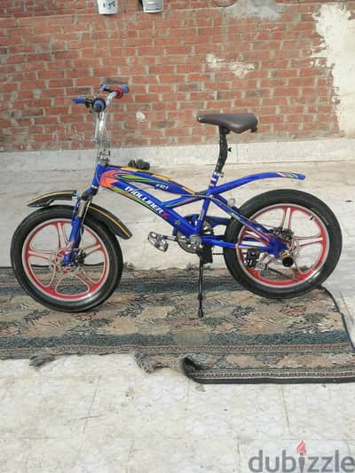 BMX Molliner