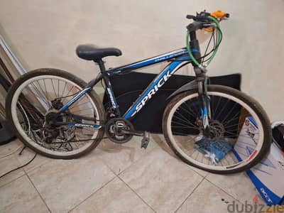 Challenger Blue Mountain Bike