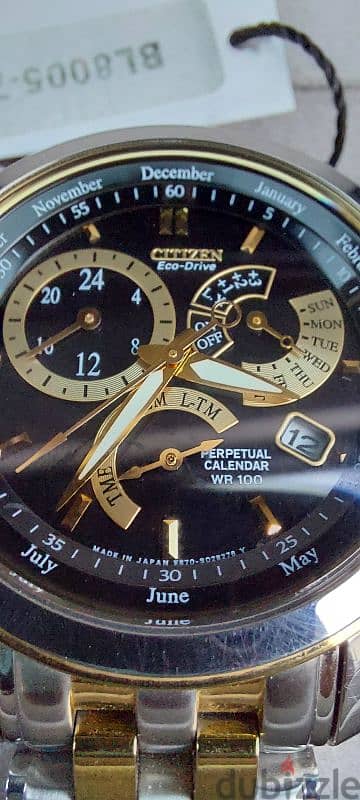 Citizen Eco Drive 1