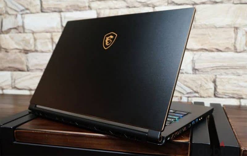 MSI GS65 STEALTH 95G Gaming Laptop 4