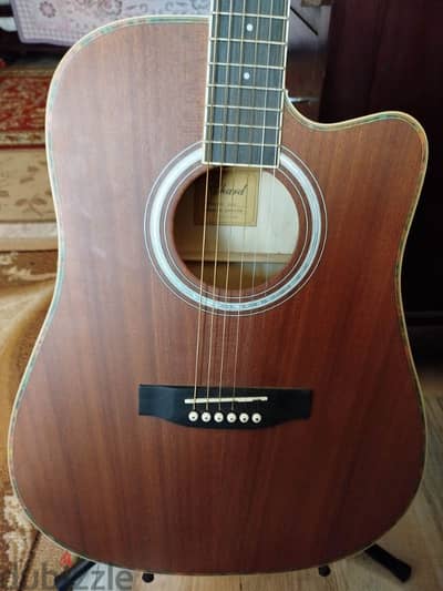 Acoustic Electric Chard Ed15