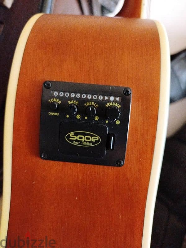 Acoustic Electric Chard Ed15 3