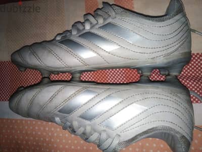 ستارز Adidas Copa 20.3 Fg اصلي