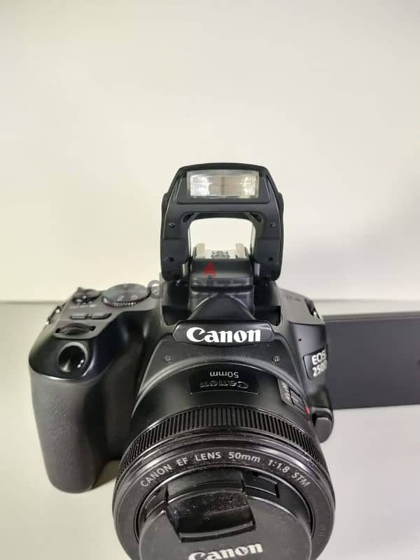 Canon 250D 5