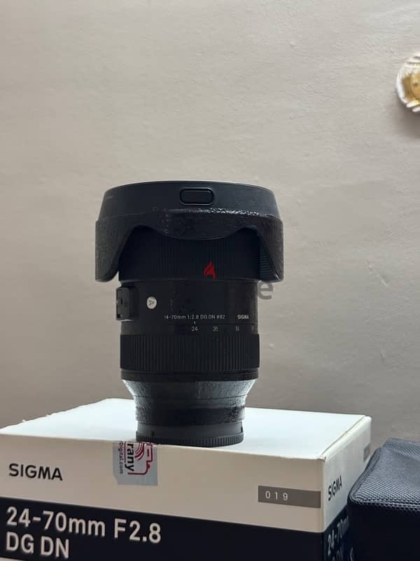 sigma 24-70 sony سيجما ٢٤-٧٠ سوني 1