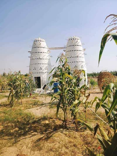 5 فدان مسجله رى نيلي تاني نمر من الاسفلت للبيع