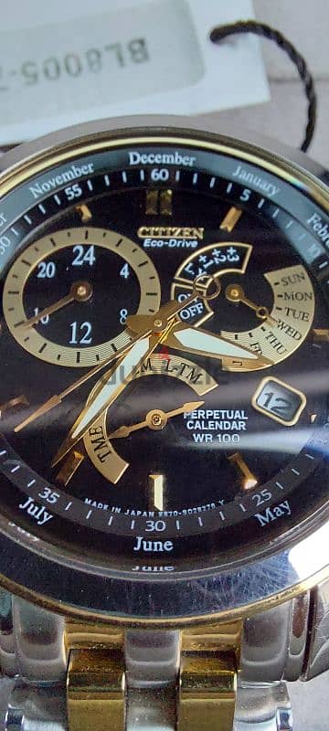 Citizen Eco Drive 0