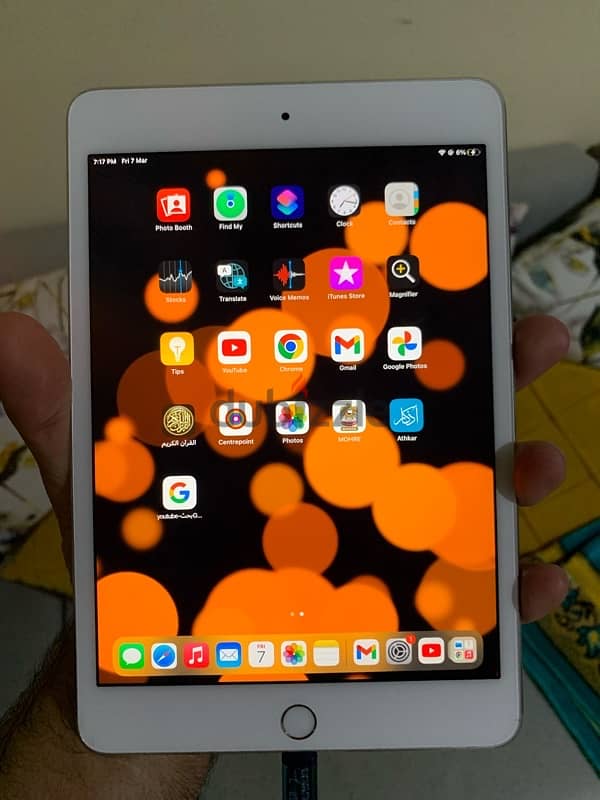 i pad mini 4 0