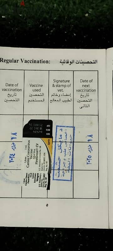 مرخصة كاملة التطعيمات التفاصيل داخل الاعلان 1