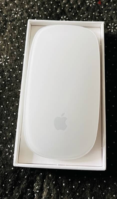 Apple Magic Mouse 2 0