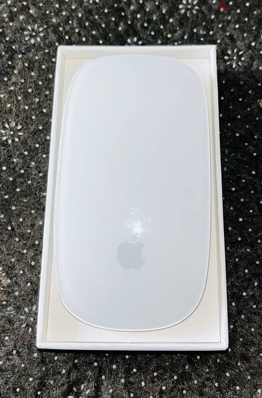 Apple Magic Mouse 2 1