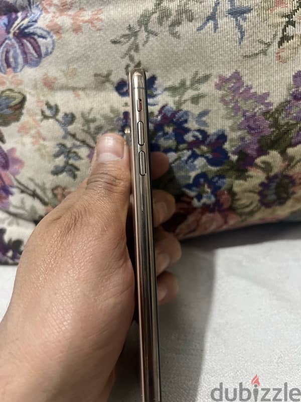 XS Max Gold 1