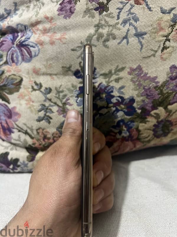 XS Max Gold 3