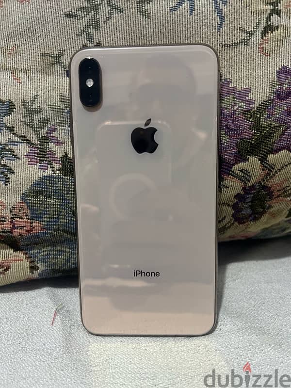 XS Max Gold 4