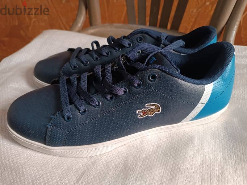 shoes Lacoste 1