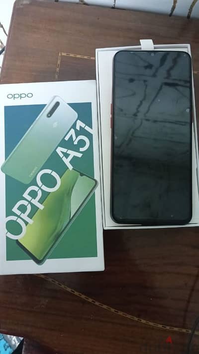 oppo31