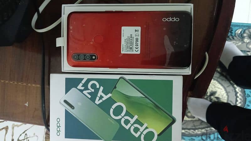 oppo31 2