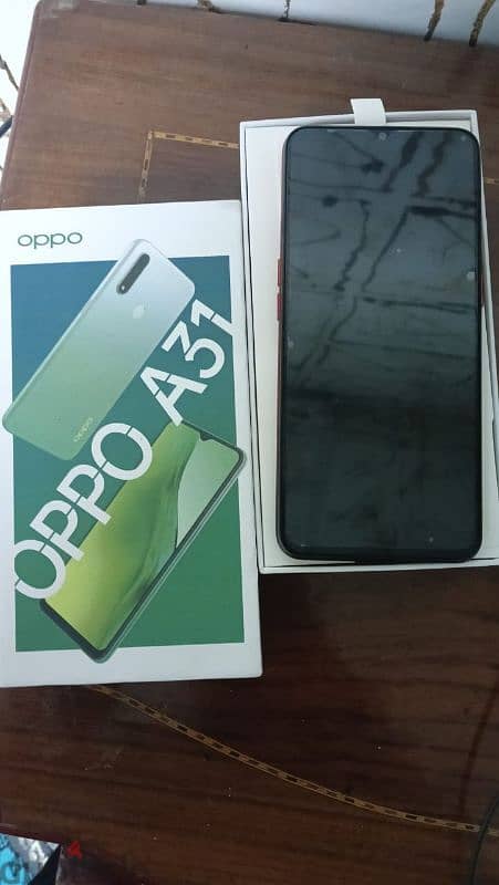 oppo31 1