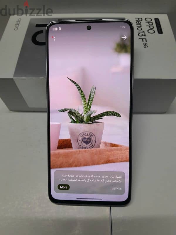 oppo reno 13f 5g 6