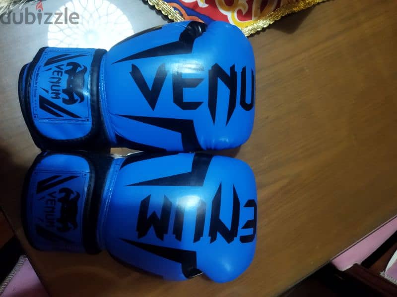 kick boxing/boxing gloves 1