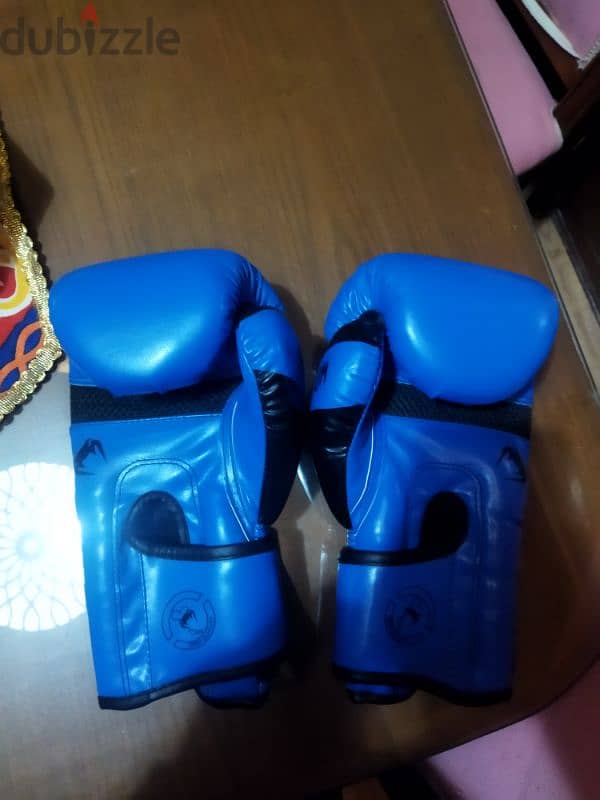 kick boxing/boxing gloves 2