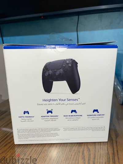 PS5 Controller