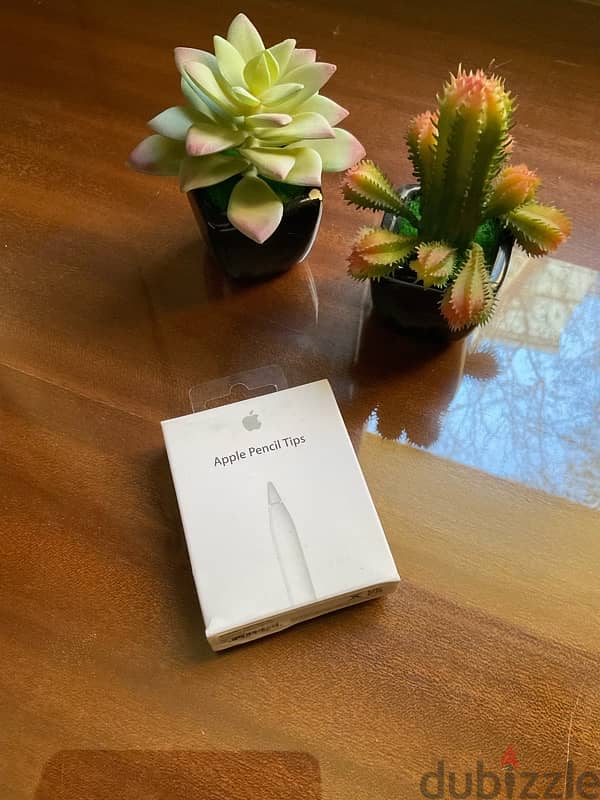 iPad Air 4 256GB (+ Apple Pencil 2) 7