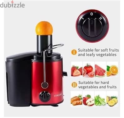 Electric Juicer