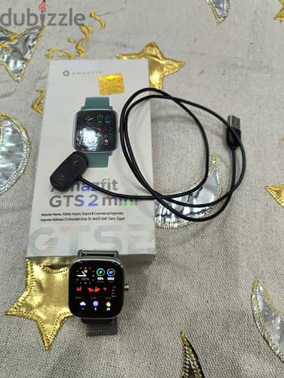 Amazfit gts2 mini