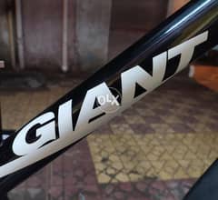 Giant mountain bike in good condition 0