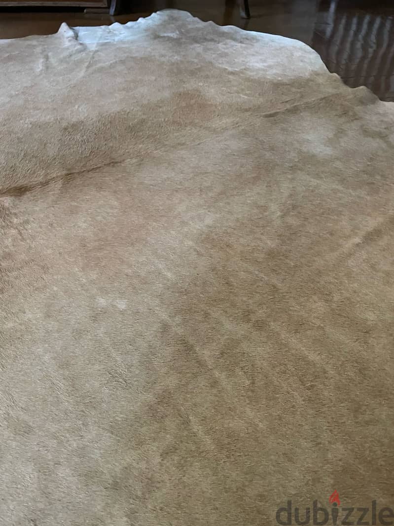 IKEA cow hide rug ايكيا سجادة من جلد البقر 2