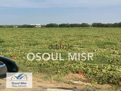 Prime Land for Sale – 120 ac – East of Cairo--Alex