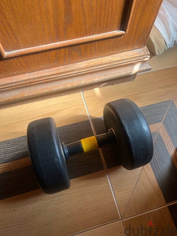 generic dumbell 17.5kg with nickal hand 1