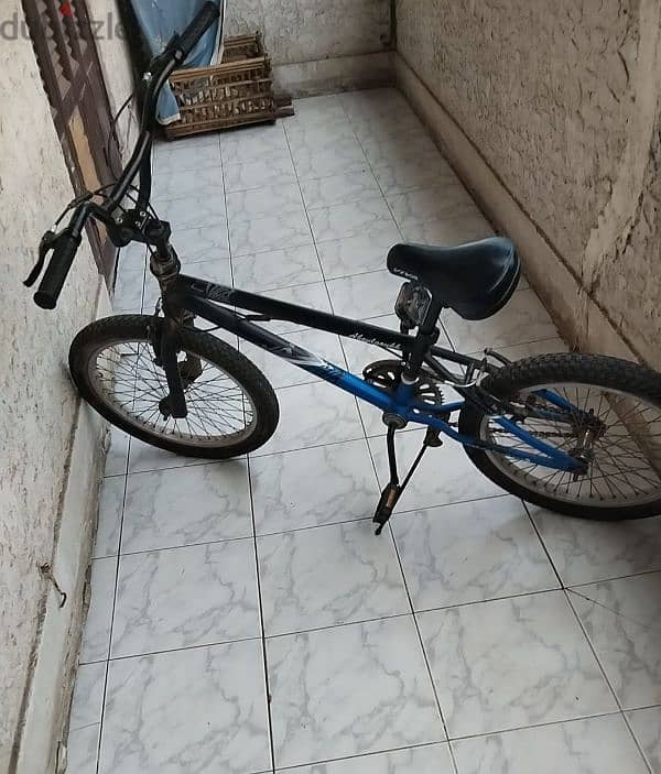 عاجله viva bmx 1