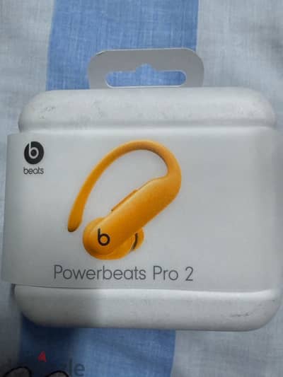 Beats Powerbeats Pro 2