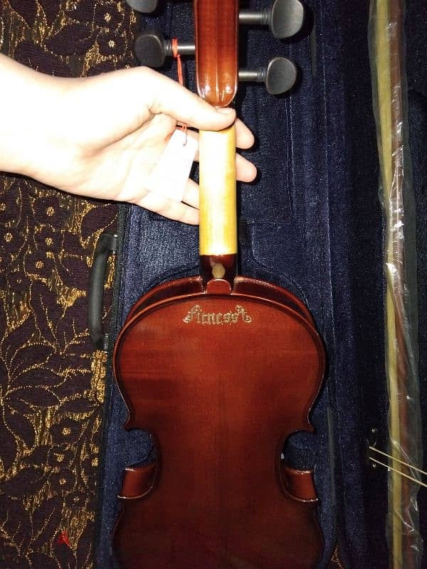 fitness Violin 1