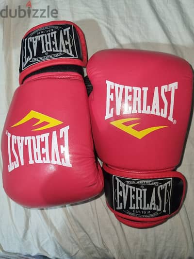 Everlast boxing gloves (highcopy)