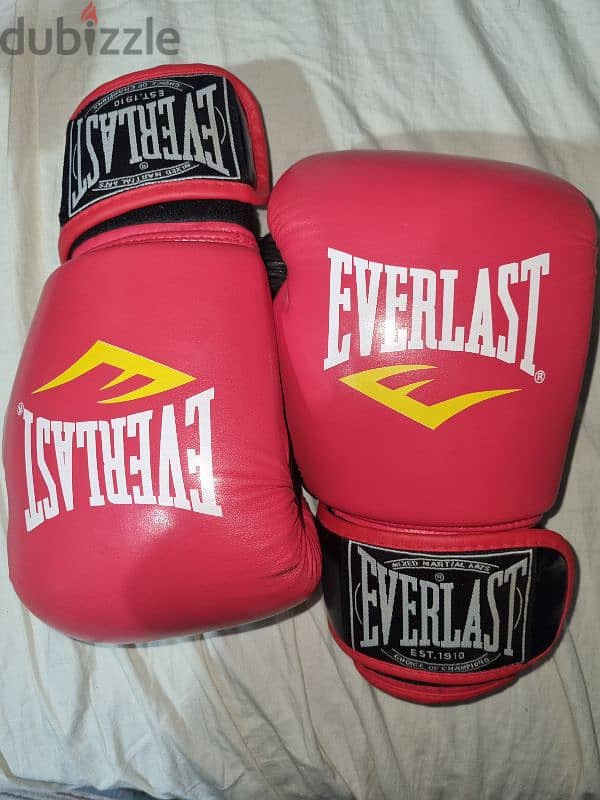 Everlast boxing gloves 0