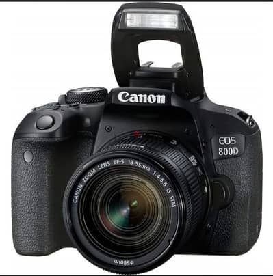 cannon eos D800