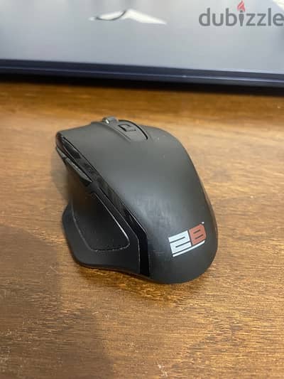 mouse 2B