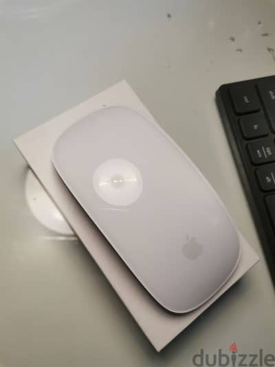 Apple magic mouse 2