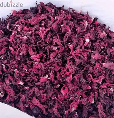 كركديه(Hibiscus )